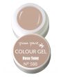 Barvni gel - Rose Teint N°588